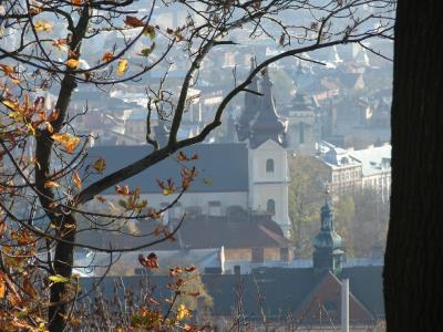 Wysoki Zamek - panorama